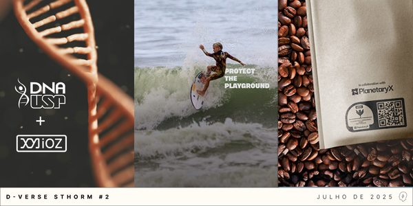 D-Verse #2 Novidades no time, Tools for the Commons, Riders e +
